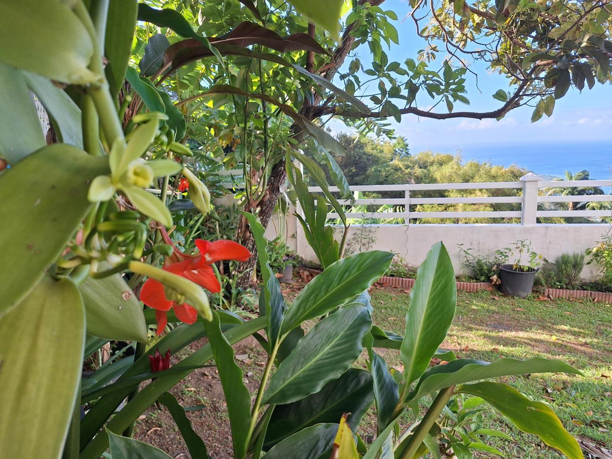 Belavue & Spa Prive, Avec Vue Panoramique Sur Mer, Jardin Creole Paysager, Jacuzzi Prive Bouillante Room photo
