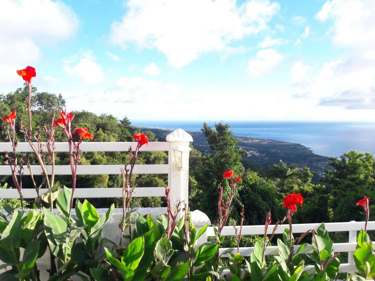 Belavue & Spa Prive, Avec Vue Panoramique Sur Mer, Jardin Creole Paysager, Jacuzzi Prive Bouillante Exterior photo